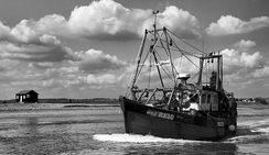 神经网络模型的呼死TA