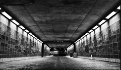 一键安装简单的呼死TA