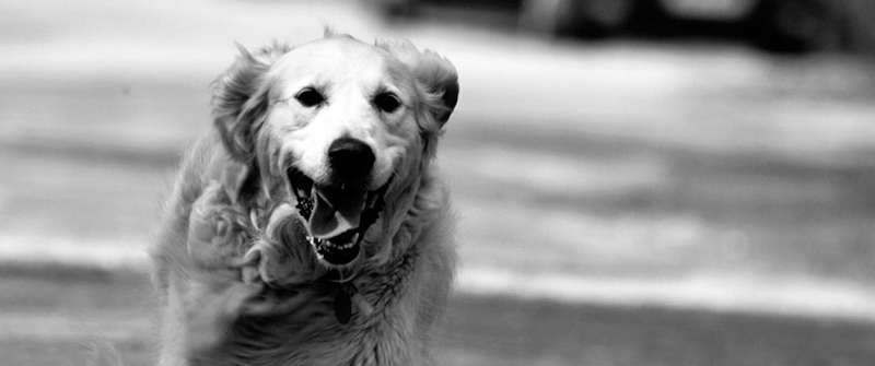 一站式管理的手机号压测工具